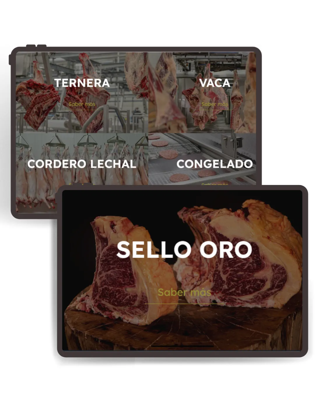 Mockup tres - EMBAJADORES | ZeroMoment Marketing