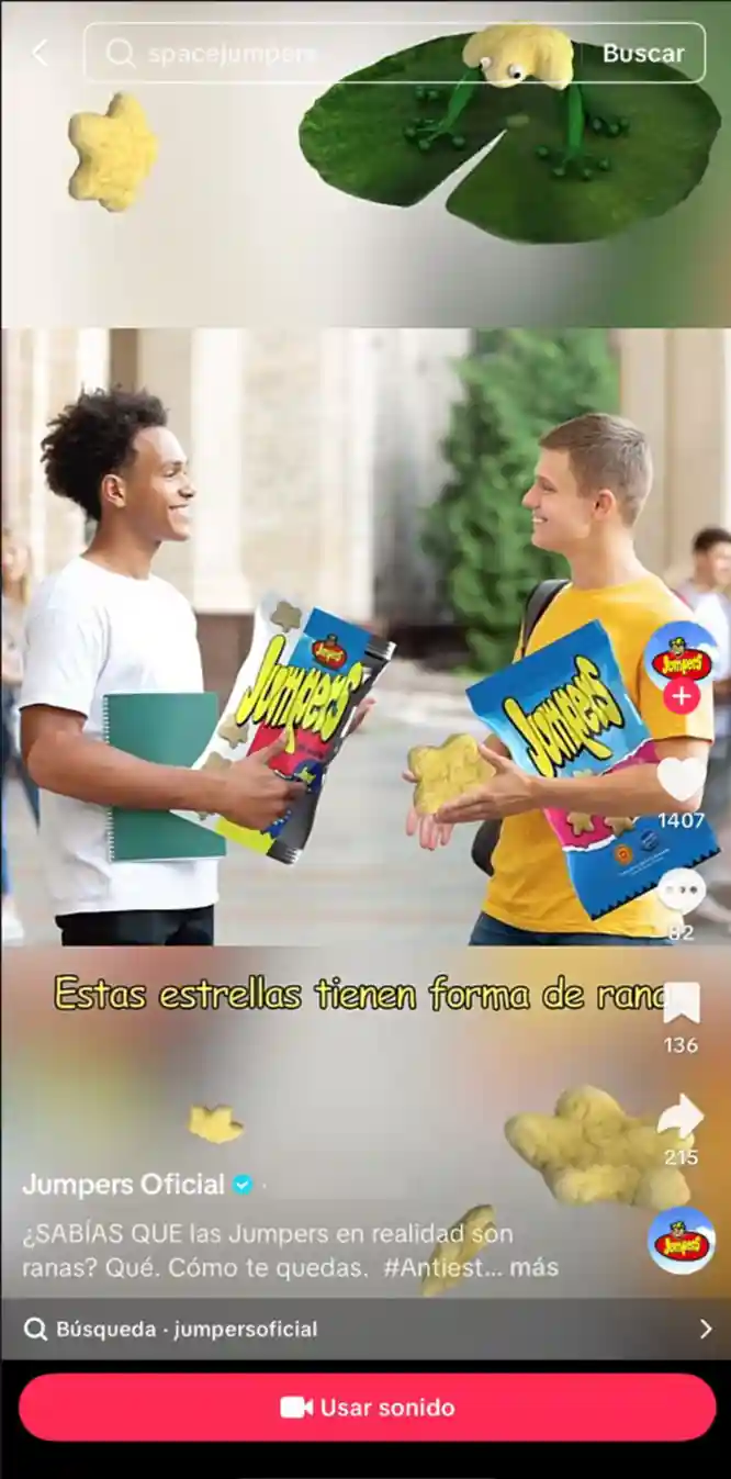TikTok Ads Manager ejemplo Jumpers | ZeroMoment
